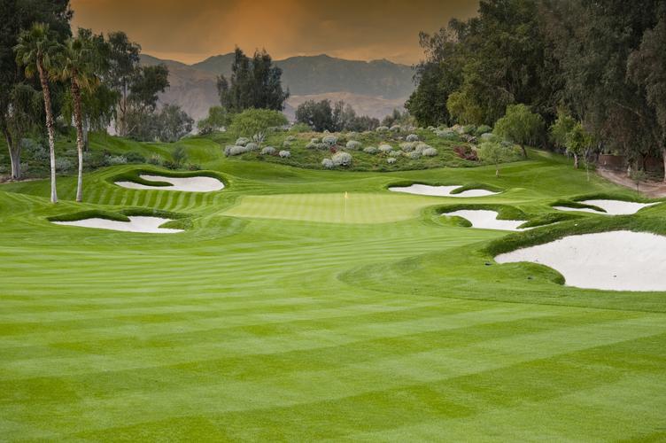 奢华高尔夫球场会员