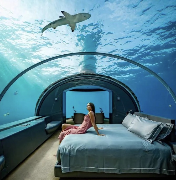 马尔代夫水下婚礼